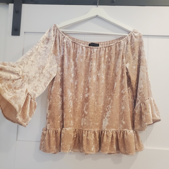 Blush pink crushed velvet top by Sanctuary size Medium - Picture 5 of 7